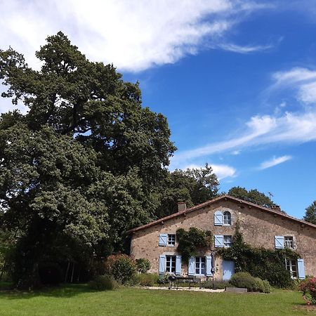 Domaine des Roches Blanches - Site Classé Le Pin  Esterno foto