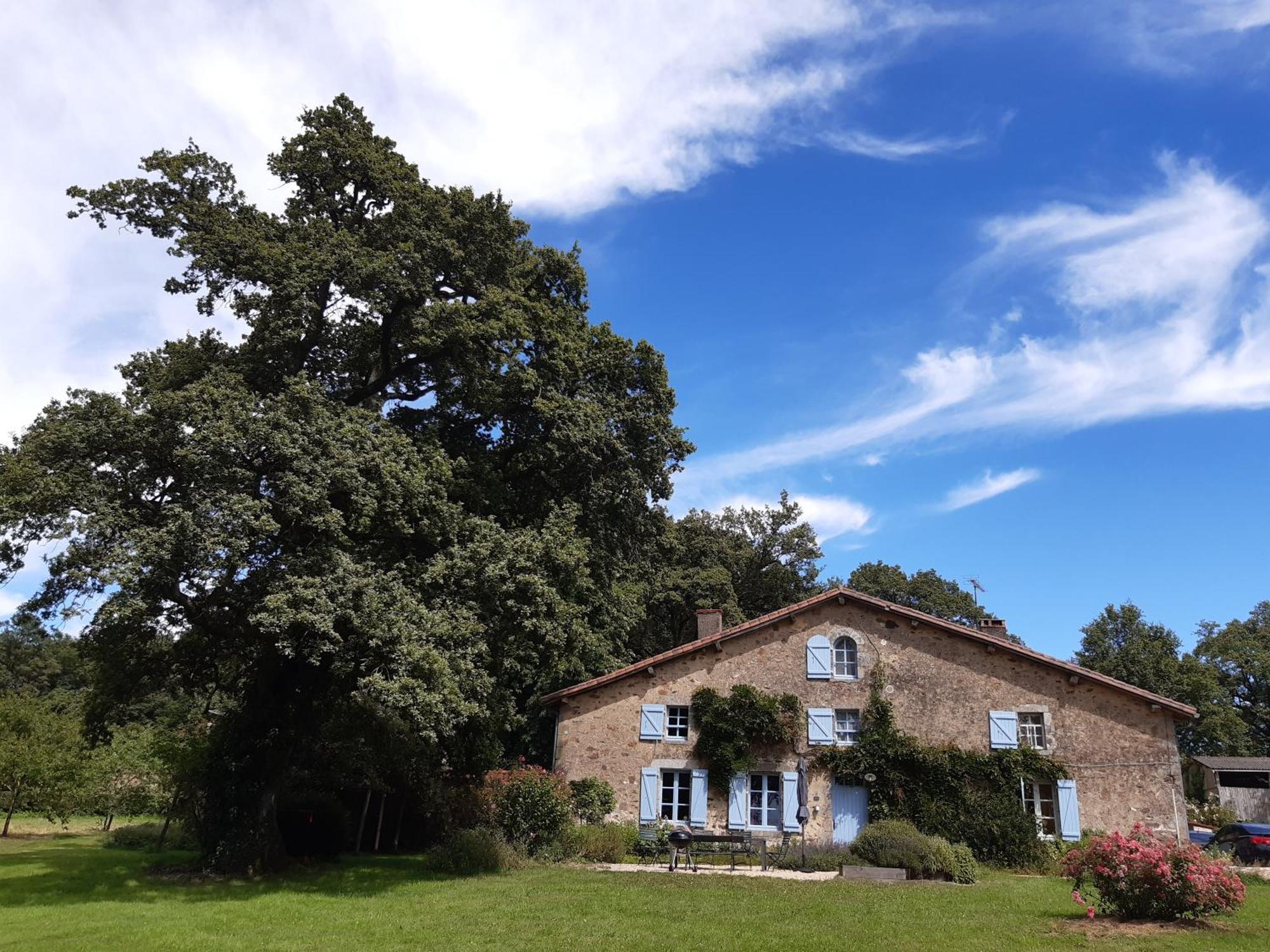 Domaine des Roches Blanches - Site Classé Le Pin  Esterno foto