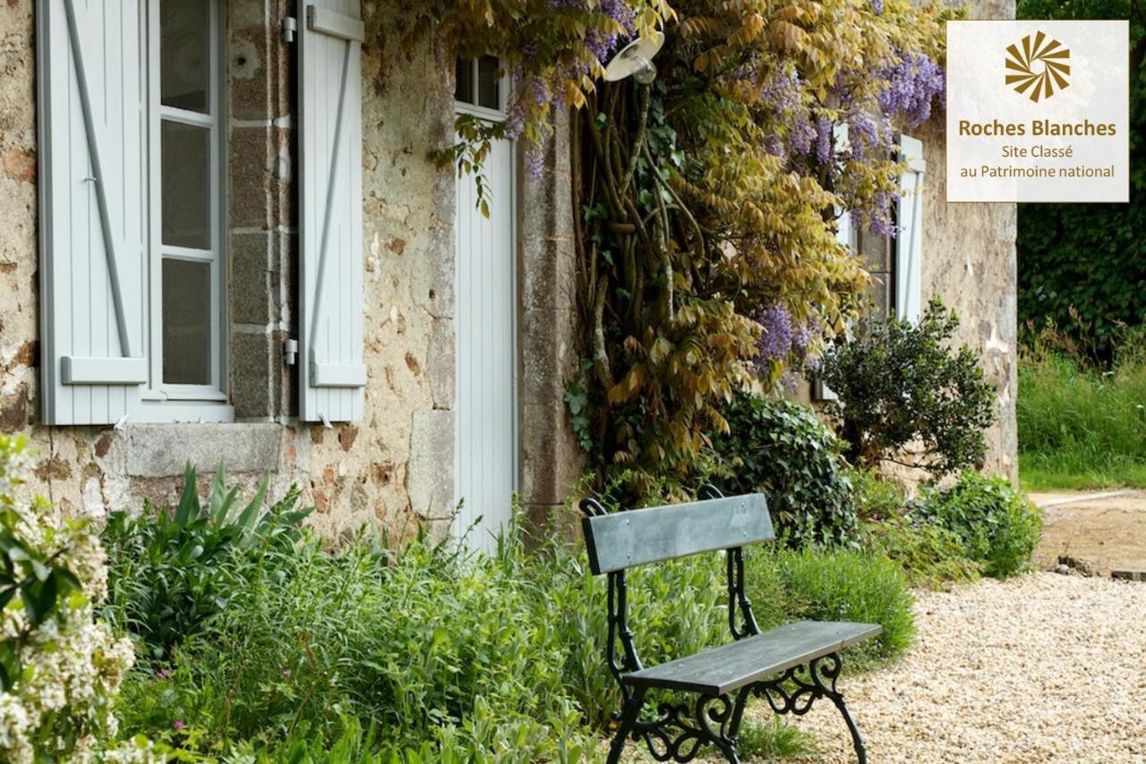 Domaine des Roches Blanches - Site Classé Le Pin  Esterno foto